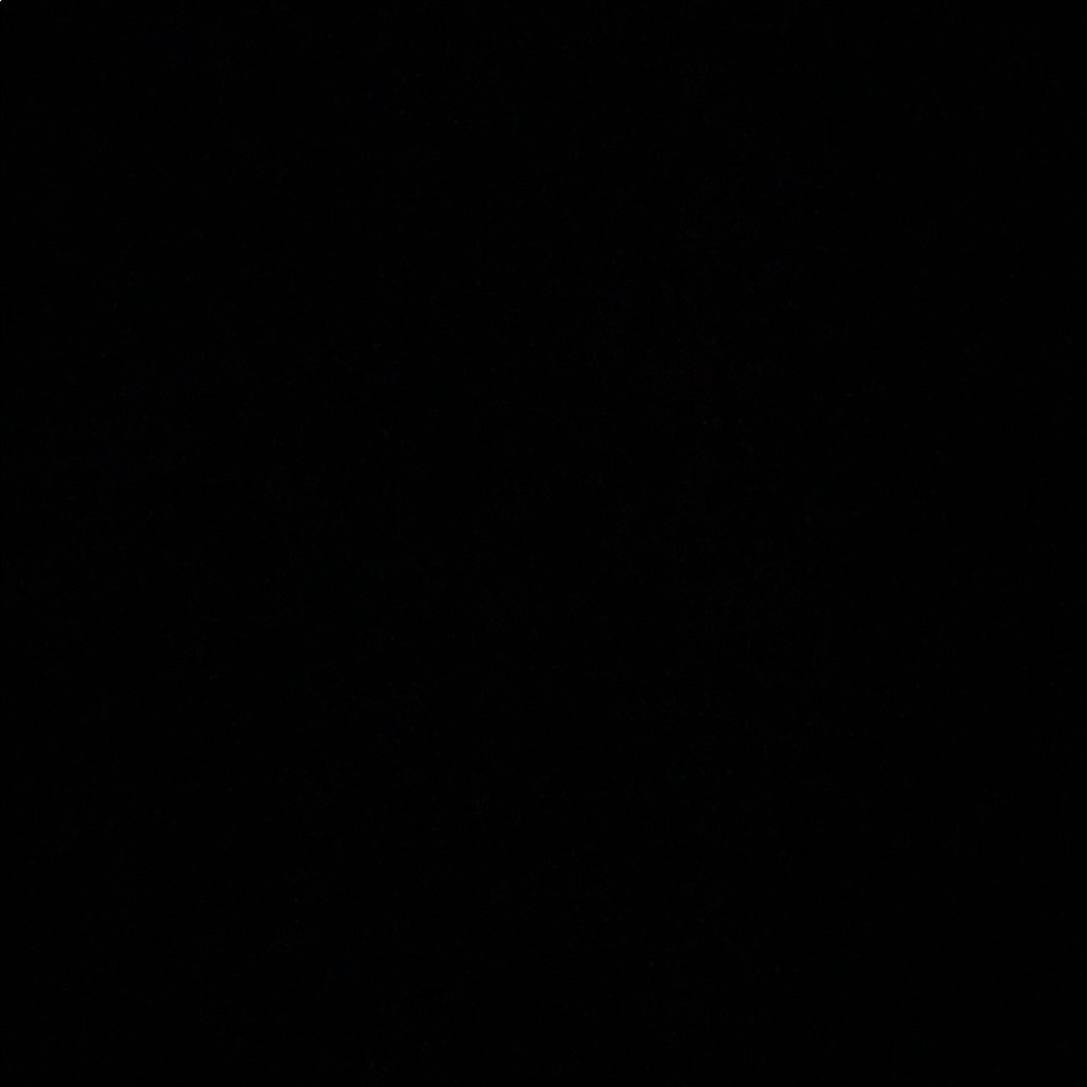 Meet your Posher, Chanel